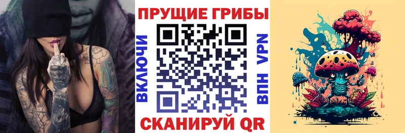 Псилоцибиновые грибы MAGIC MUSHROOMS  Советск 