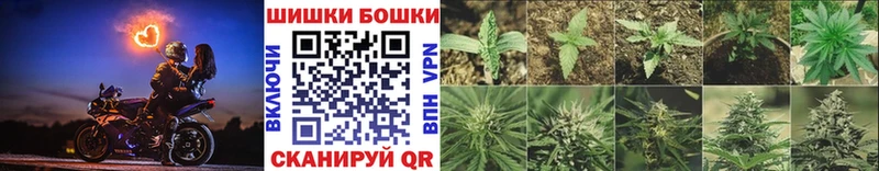 Марихуана Bruce Banner  купить закладку  Советск 