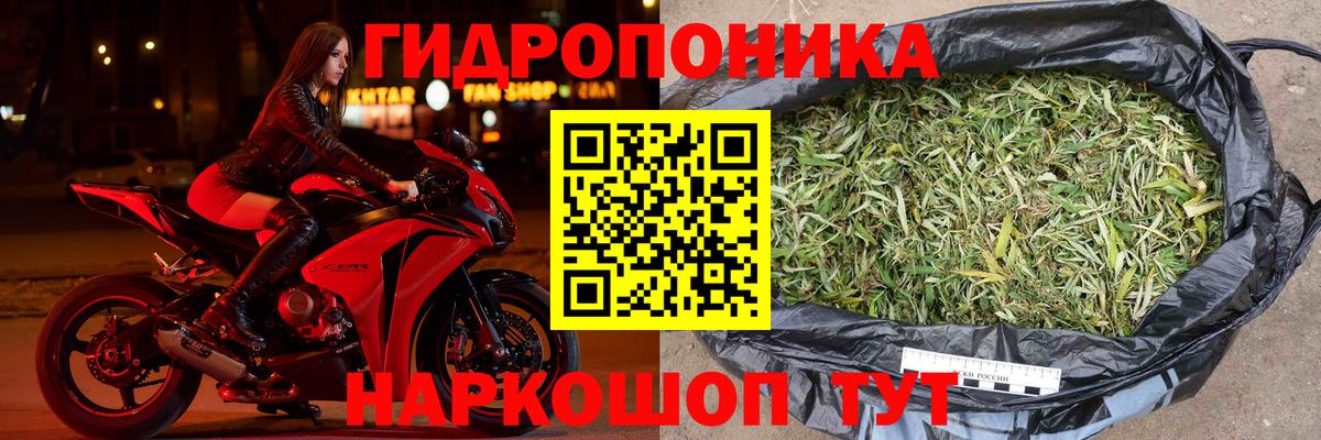 Каннабис OG Kush  Каннабис планчик  Вход с VPN  Канабис семена  Бошки Шишки LSD WEED  Советск 
